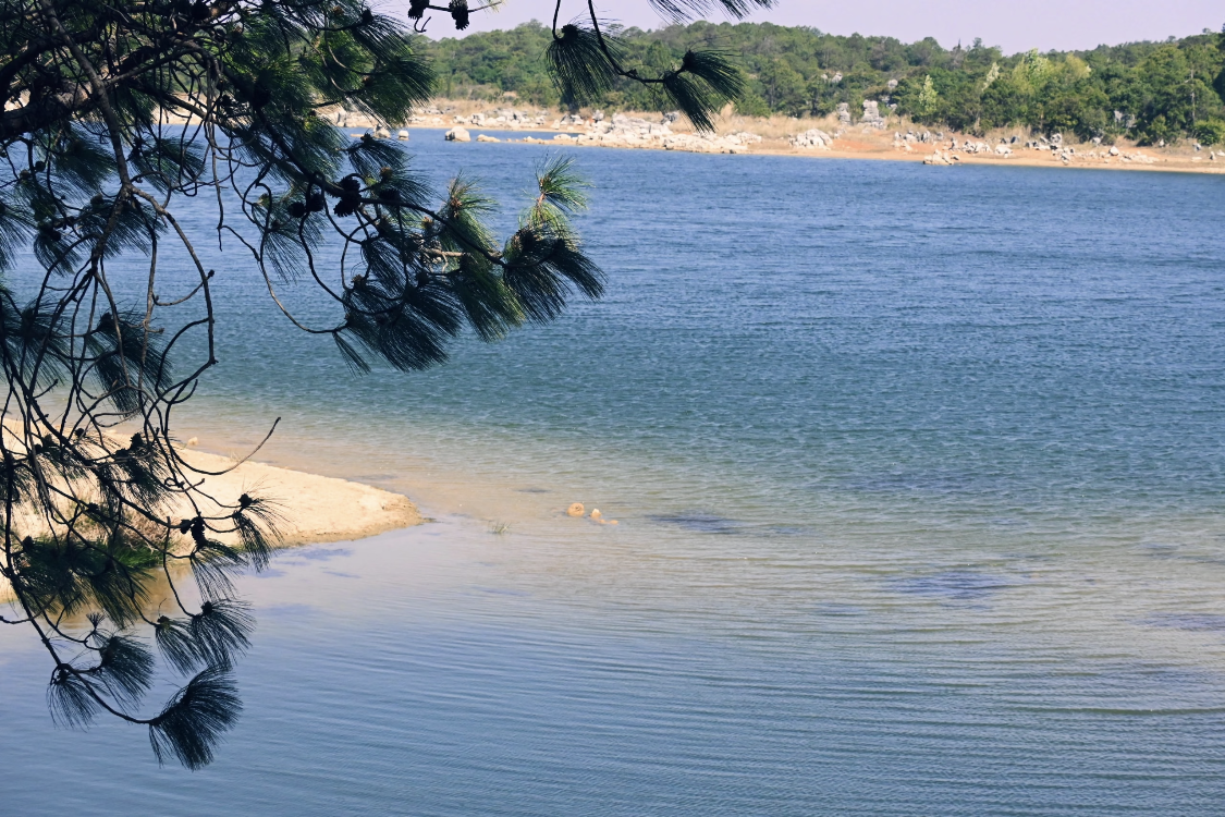 Hongqiling Thousand Bird Lake